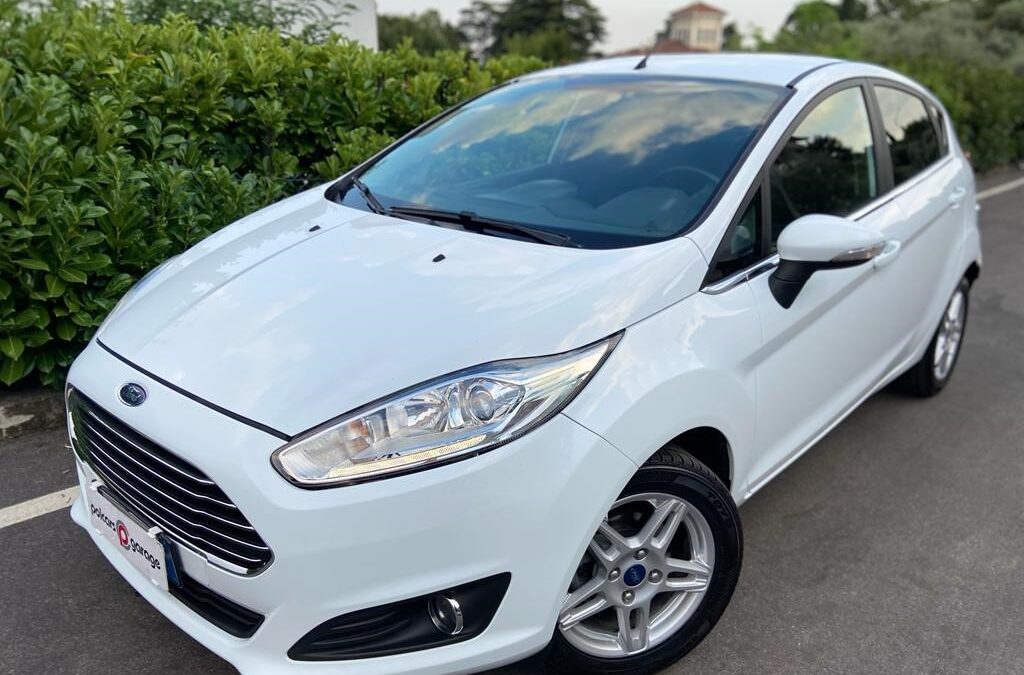 Ford Fiesta 1.5 TDCi 75CV 5 porte Titanium